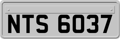 NTS6037