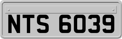 NTS6039