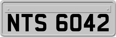 NTS6042