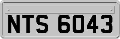 NTS6043