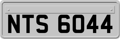 NTS6044