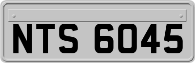 NTS6045