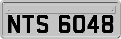 NTS6048