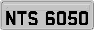 NTS6050