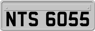 NTS6055
