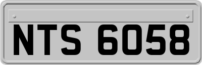 NTS6058