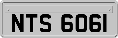 NTS6061