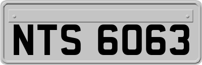 NTS6063
