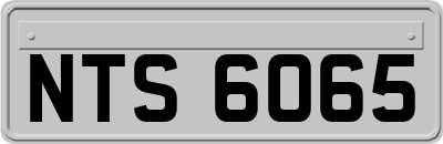 NTS6065