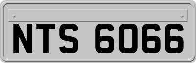 NTS6066