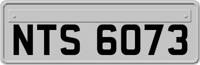 NTS6073
