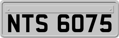 NTS6075