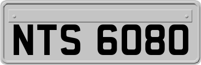 NTS6080