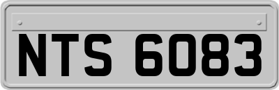 NTS6083