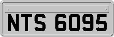 NTS6095
