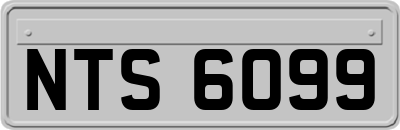 NTS6099