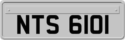 NTS6101