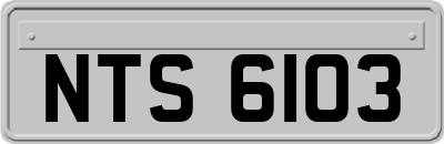 NTS6103