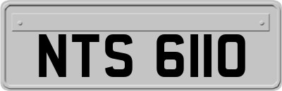 NTS6110