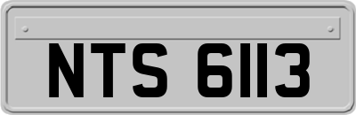 NTS6113