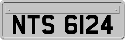 NTS6124