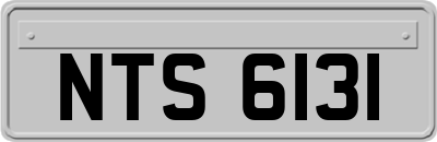 NTS6131