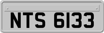NTS6133
