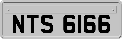 NTS6166