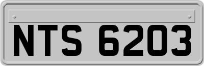 NTS6203