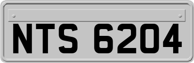 NTS6204