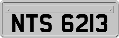 NTS6213