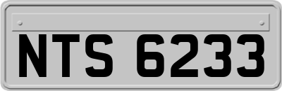 NTS6233