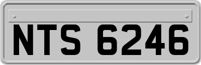 NTS6246