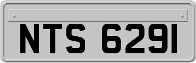 NTS6291