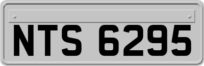 NTS6295
