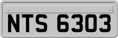 NTS6303