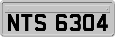 NTS6304