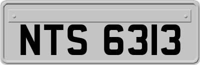 NTS6313