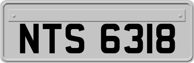 NTS6318