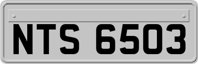 NTS6503