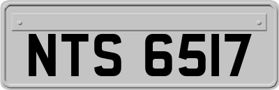 NTS6517