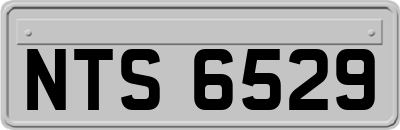 NTS6529