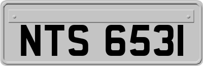 NTS6531