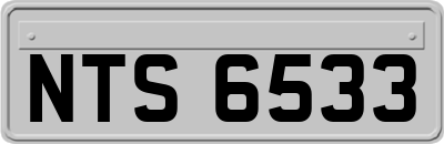 NTS6533