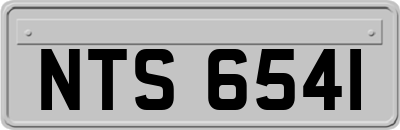 NTS6541