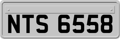 NTS6558