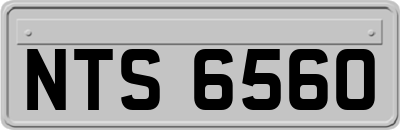 NTS6560