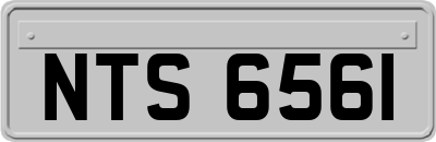 NTS6561