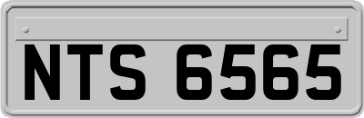 NTS6565