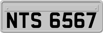 NTS6567